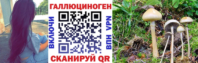 Псилоцибиновые грибы Magic Shrooms  Купить закладки  Смоленск 