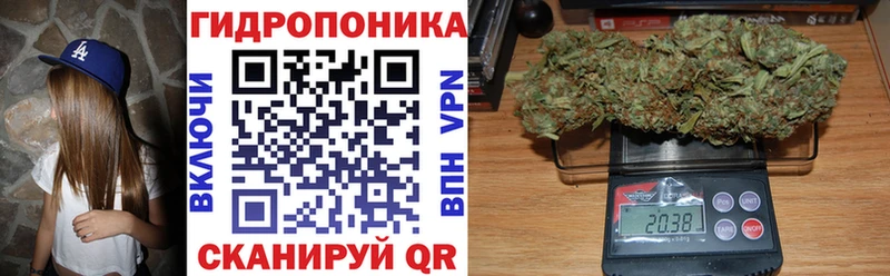 Бошки Шишки ГИДРОПОН  Купить где  Смоленск 